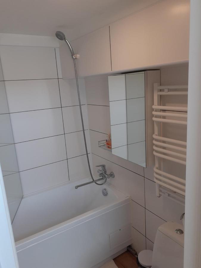 Lovely 1-Bedroom Apartment In Kaunas Old Town エクステリア 写真